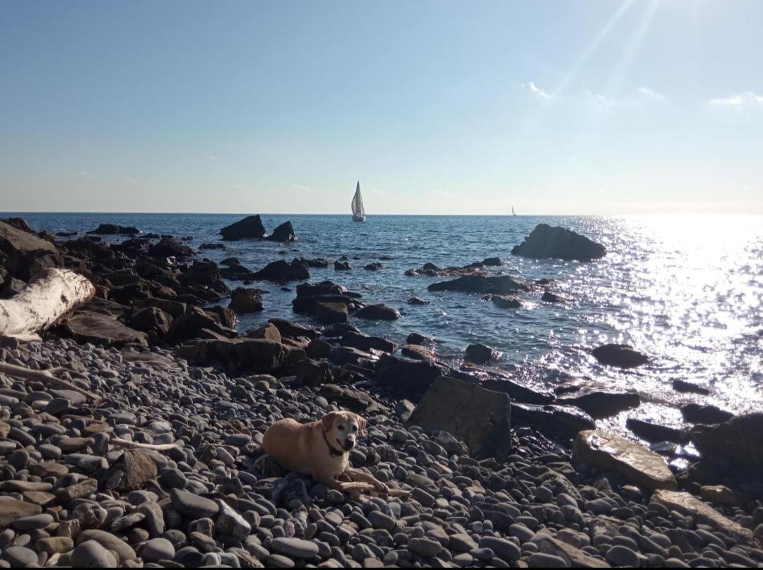 Cluxury-Torre Dei Saraceni Boutique Apt By The Sea Beach, Pool,Private Jacuzzi, Parking Cervo Buitenkant foto